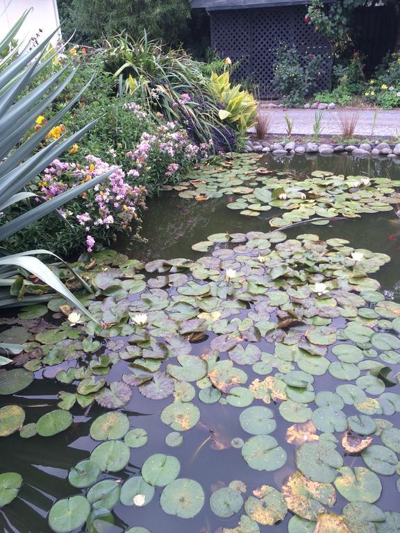 Bed and Breakfast Water Lily Garden Christchurch Esterno foto