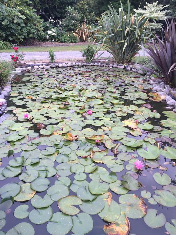 Bed and Breakfast Water Lily Garden Christchurch Esterno foto