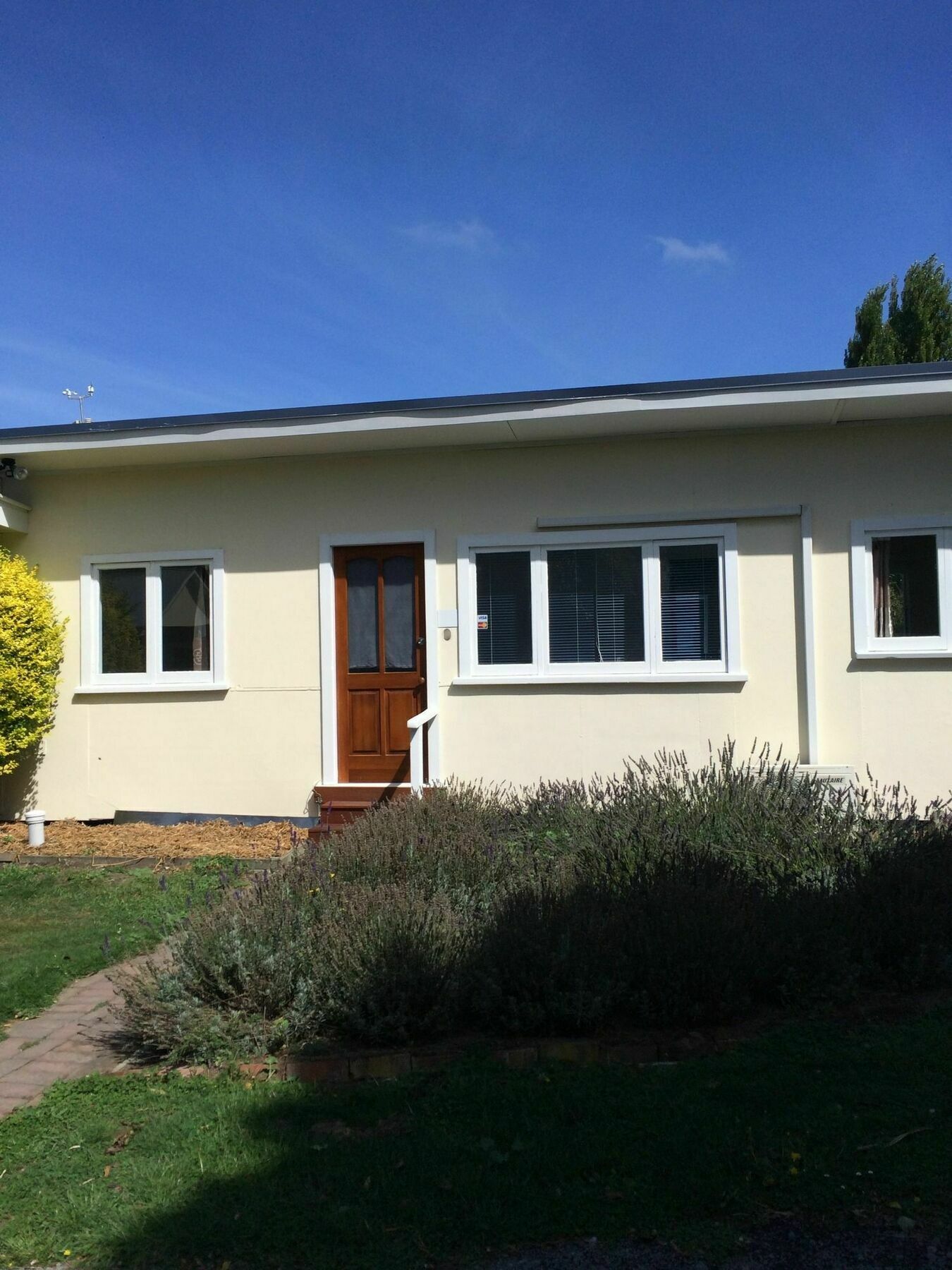 Bed and Breakfast Water Lily Garden Christchurch Esterno foto